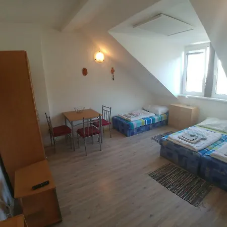 Kv Apartmans Varsavska 公寓式酒店 卡罗维发利
